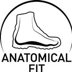 Anatomical Fit