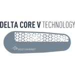 Delta Core-V