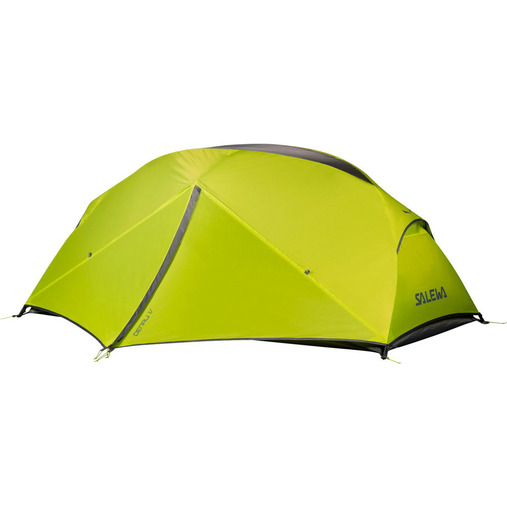 SALEWA - Denali IV Kuppelzelt cactus grey
