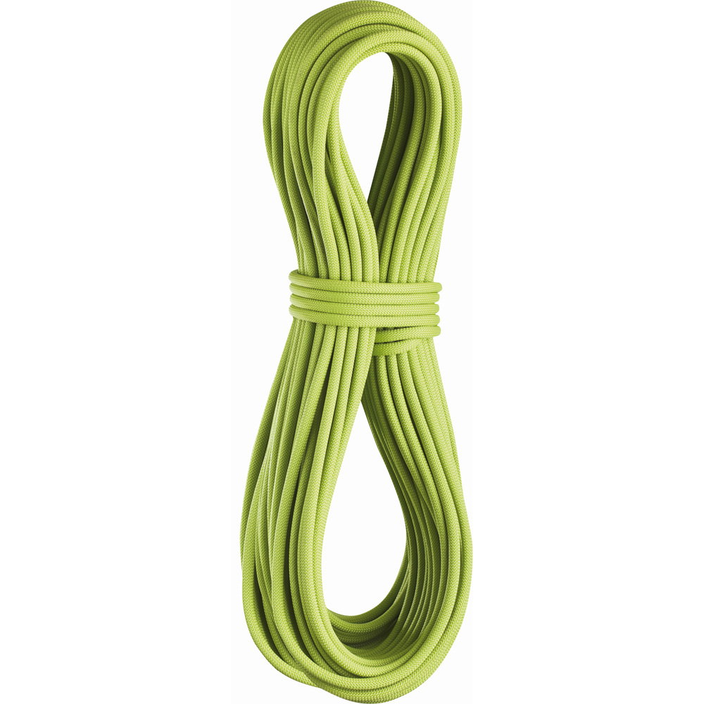 Edelrid - Apus Pro Dry 7,9mm 60m Zwillings-/Halbseil oasis