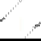 Dobermann Combi PRO S FDT 25/26 Kinderski inkl. JR 7.0 FDT Bindung (140-162cm)
