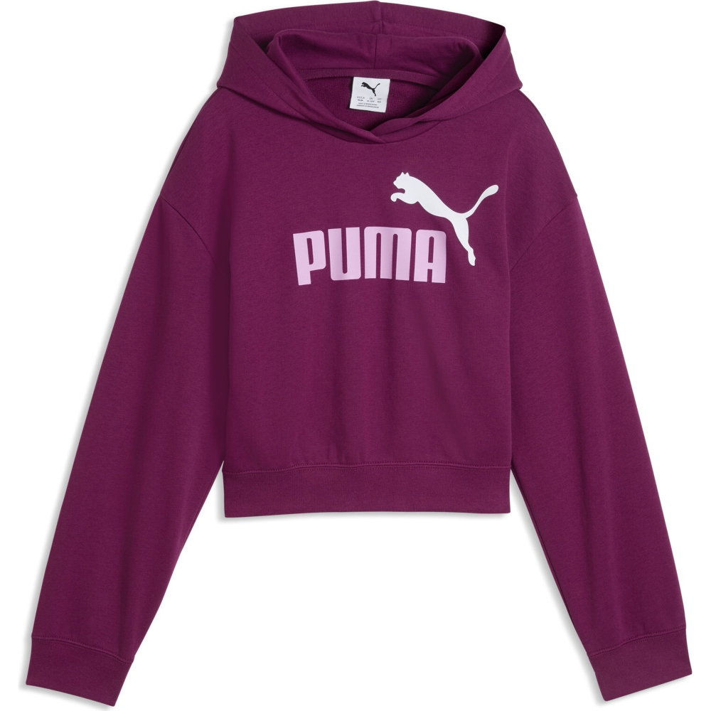 Puma - Essentials Logo Hoodie Kinder rosa-pink