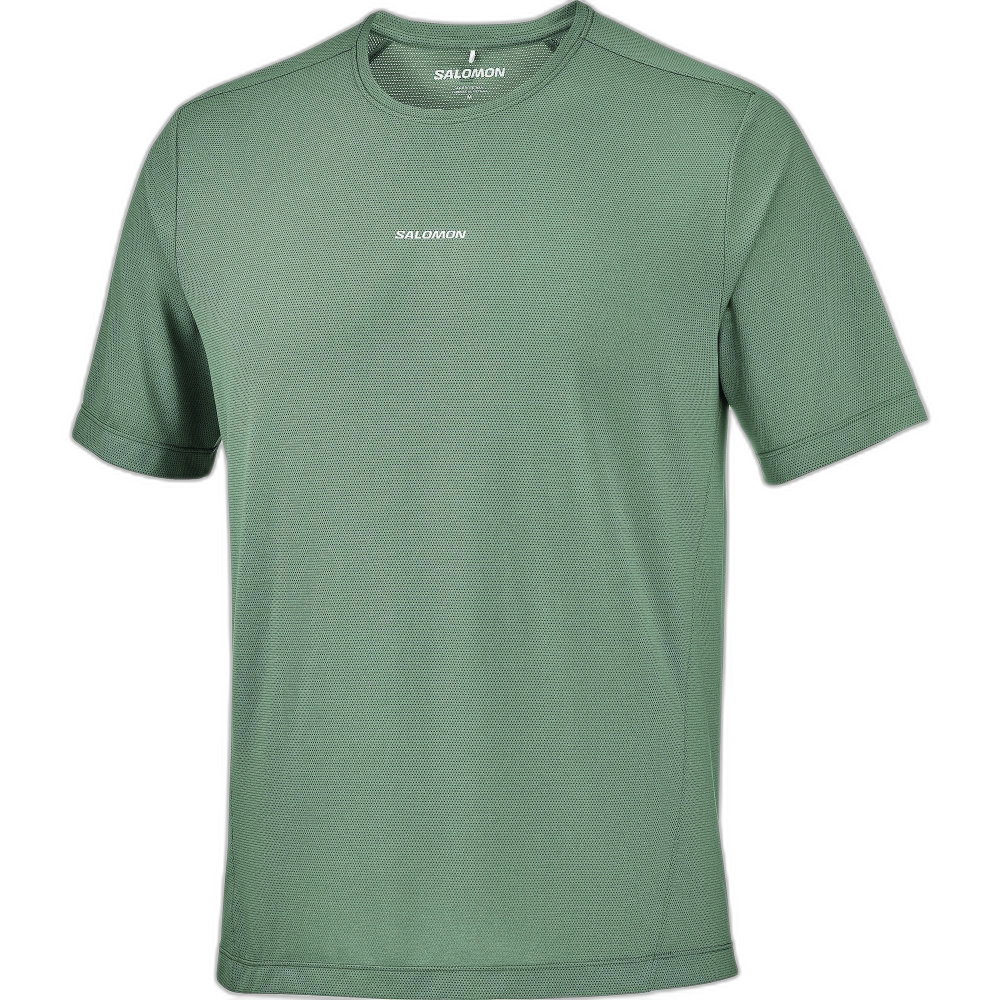 Salomon - SHKout Core T-Shirt Herren grau