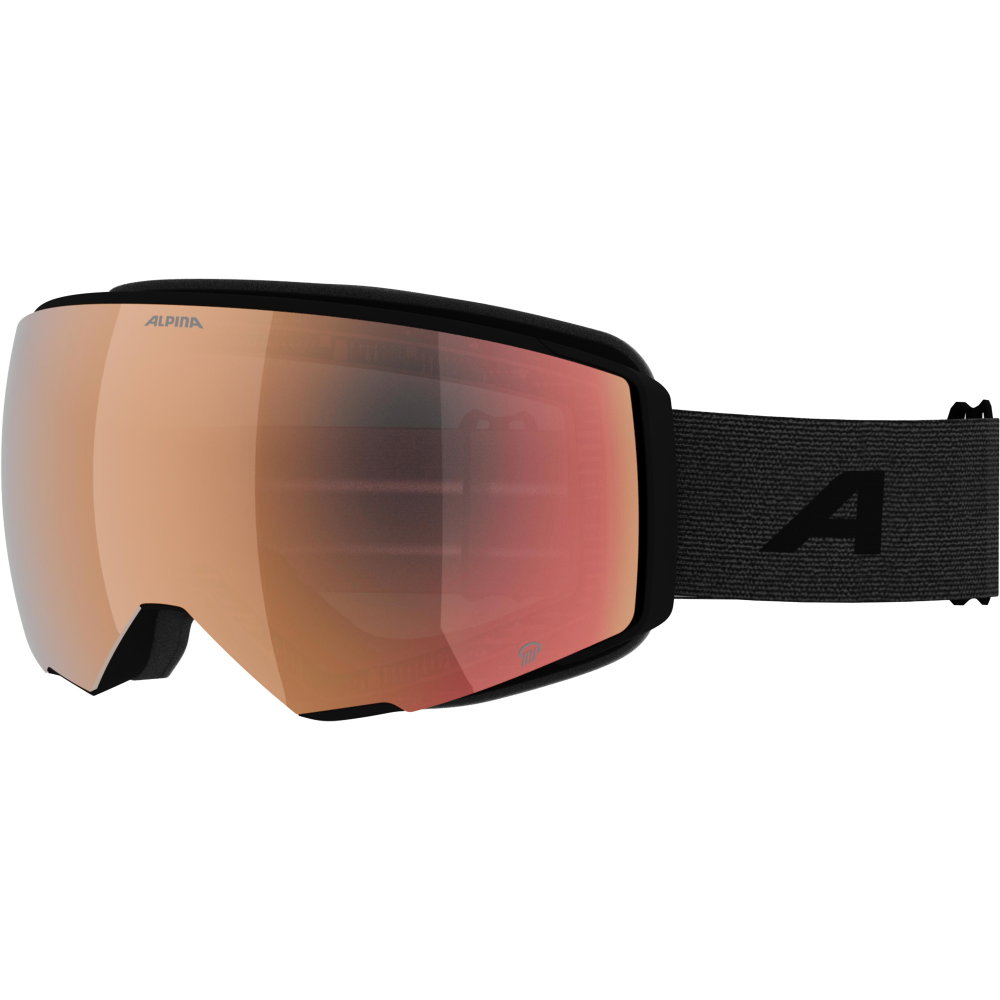 Alpina - Granby 2 Q Skibrille black matt