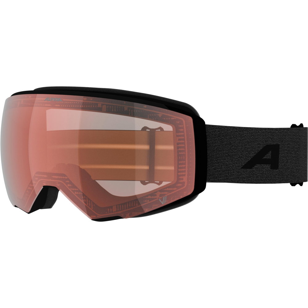 Alpina - Granby 2 V Skibrille black matt