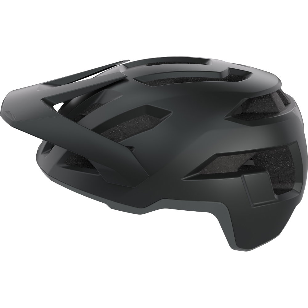 Alpina - Taunus Fahrradhelm schwarz