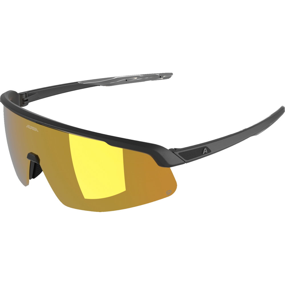 Alpina - Turbo Pro Sonnenbrille schwarz