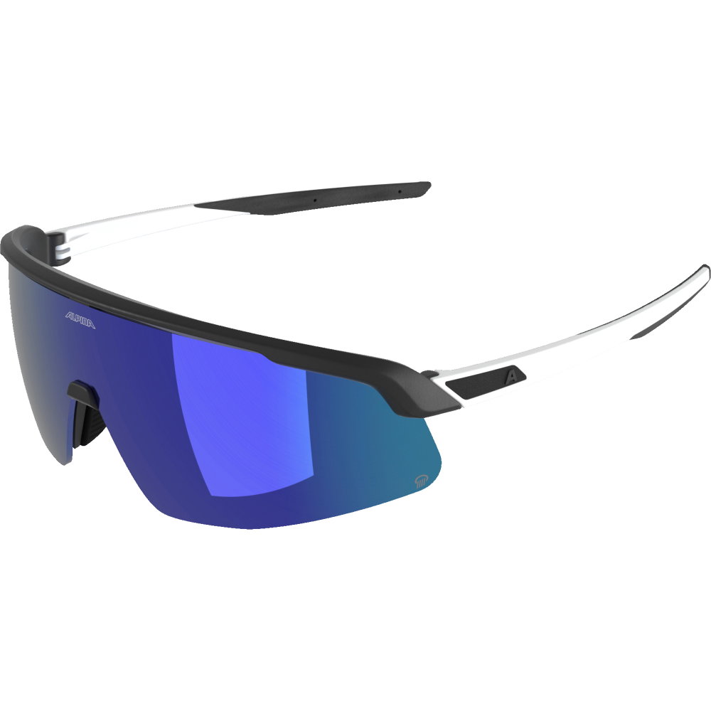 Alpina - Turbo Pro Sonnenbrille schwarz