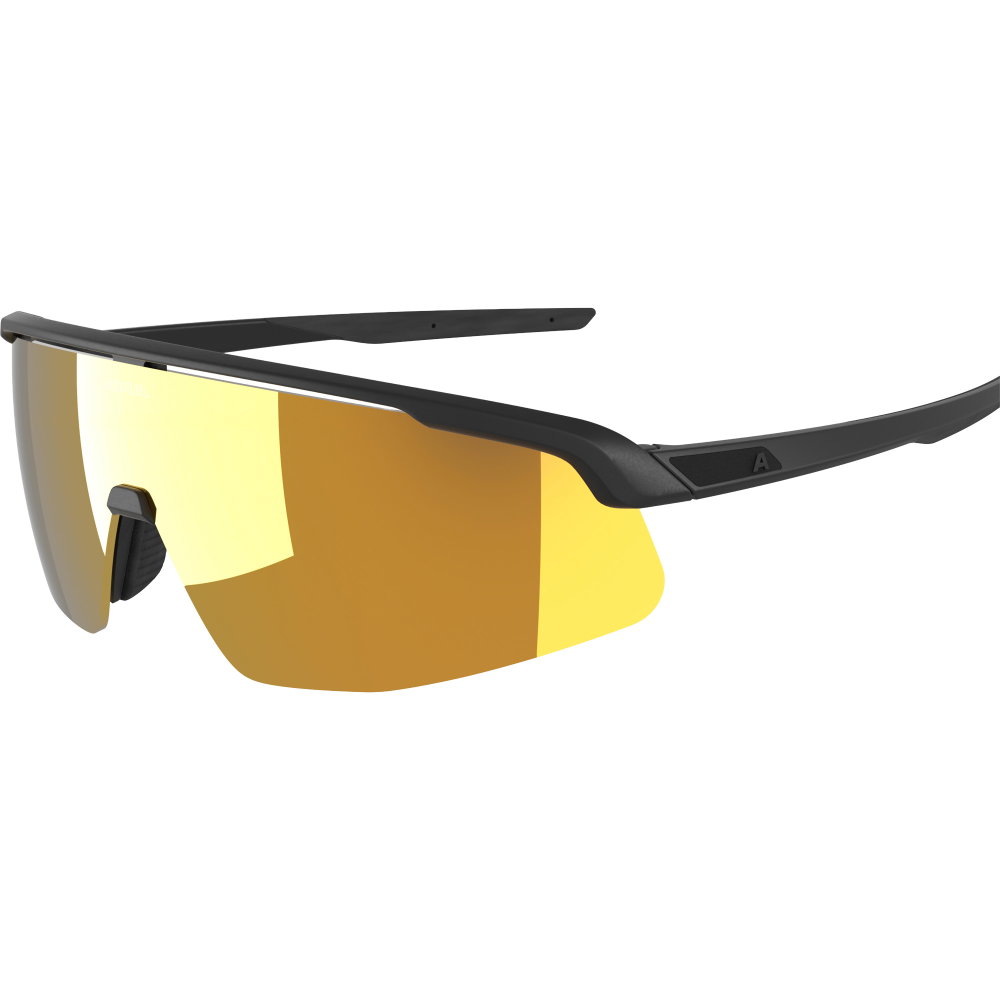 Alpina - Turbo Pro S Sonnenbrille schwarz 261298_412
