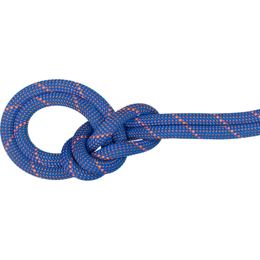 Mammut - 9.0 Crag Sender Dry 70m Seil ice