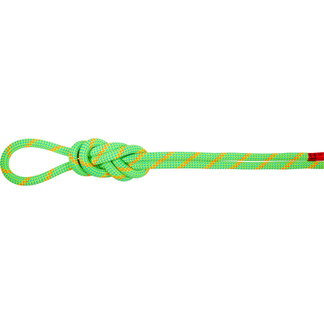 Mammut - 8.0 Alpine Dry 60m Rope neon green