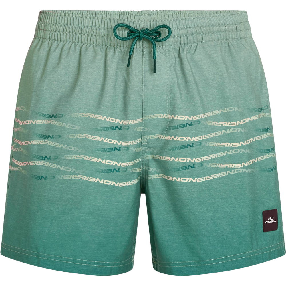O'Neill - First 15'' Badeshorts Herren green heritage o'neill flip flop