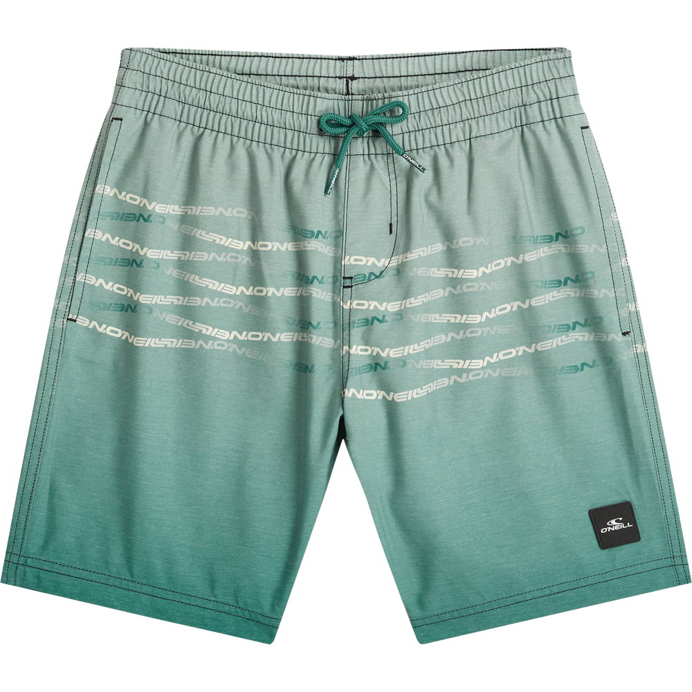 O'Neill - First Badeshorts Jungen boys green heritage flip flop