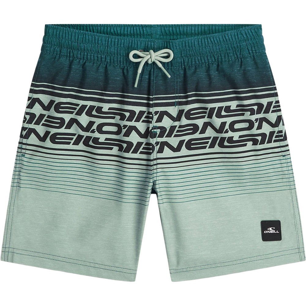 O'Neill - Logo Stripe Badeshorts Jungen boys green heritage o'neill