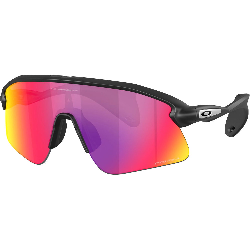 Oakley - Stunt Devil Sonnenbrille matte black 255582_412