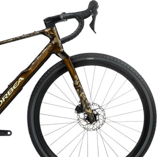 Terra M30 Team 1X Carbon Gravel Bike caramel carbon view 