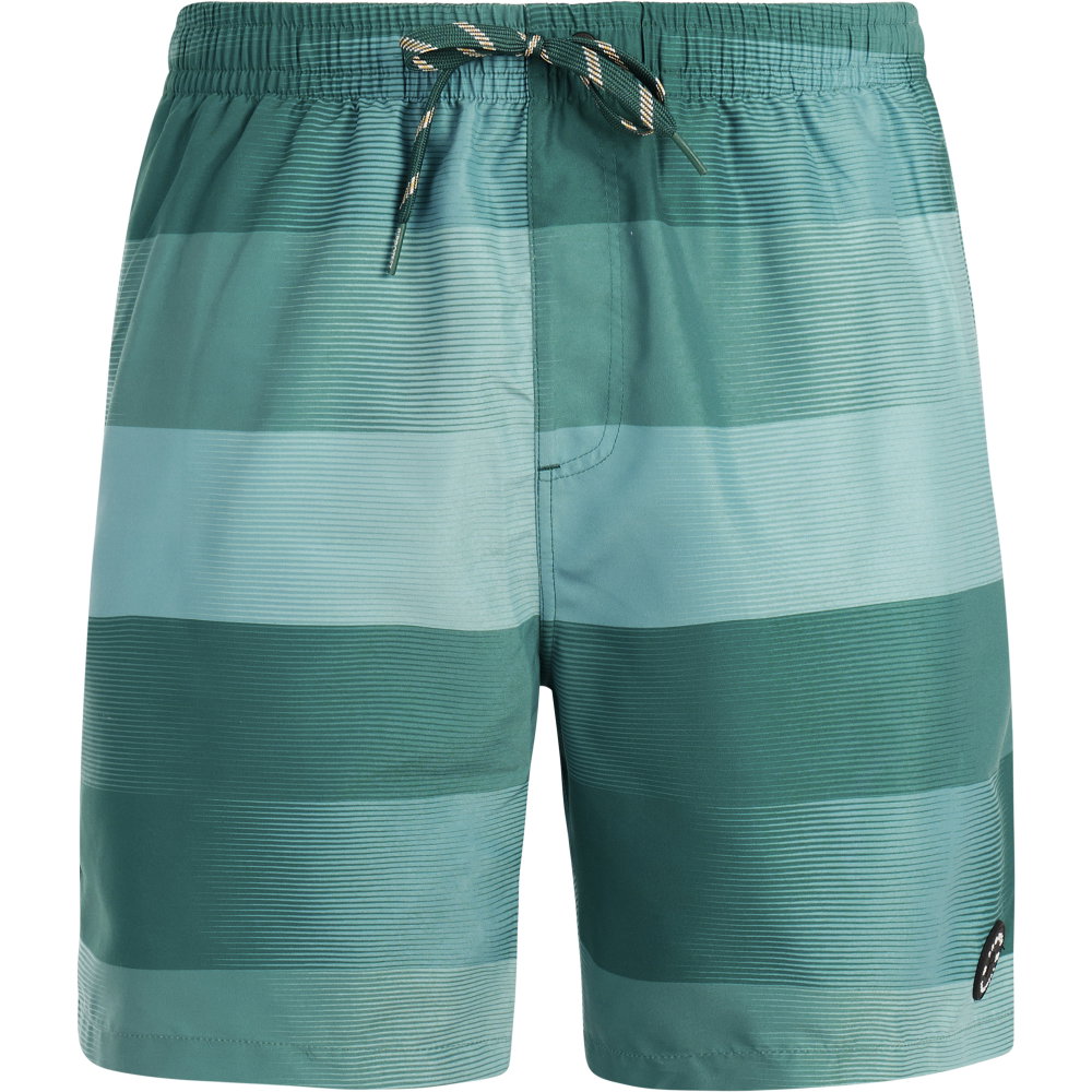 Protest - Lomond Badeshorts Herren dark teal