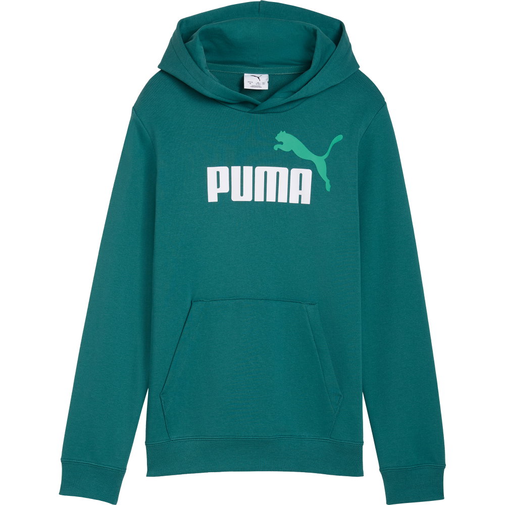 Puma - ESS 2 Color No.1 Logo Hoodie Jungen emerald ice