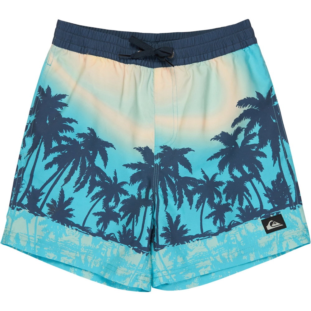 Quiksilver - EVD Printed Badeshorts Jungen aqua thermotropics