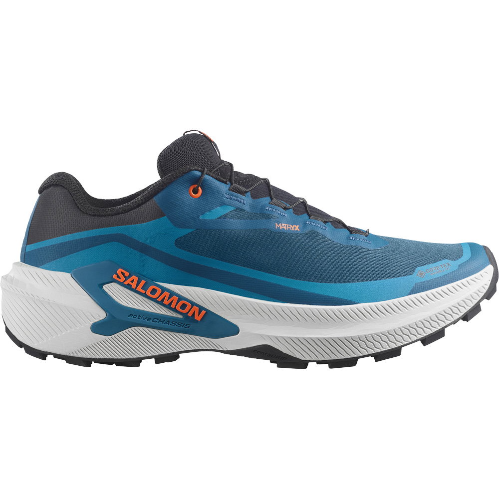 Salomon - Genesis 2 GORE-TEX® Trailrunningschuhe Herren gibraltar sea