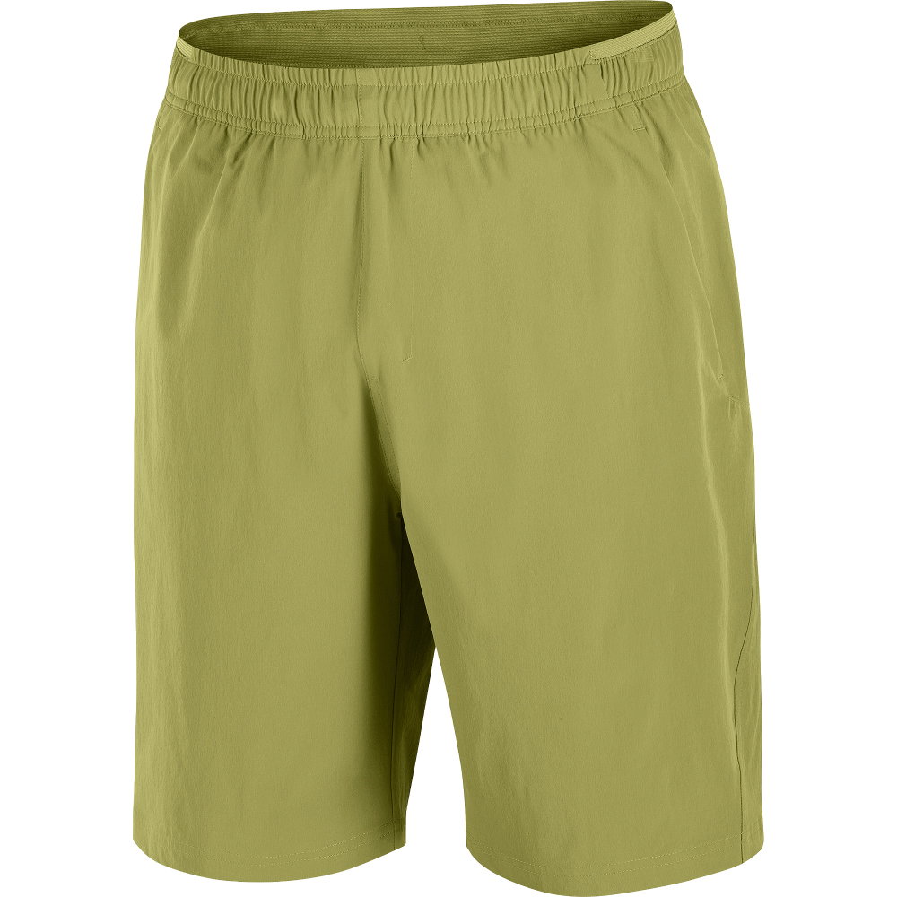 Salomon - Wayfarer Ease 2.0 Shorts Herren cardamon seed