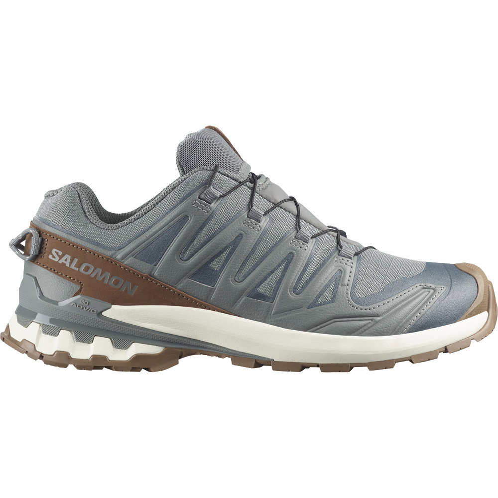 Salomon - XA Pro 3D V9 GORE-TEX® Lifelong Trailrunningschuhe Herren sedona sage