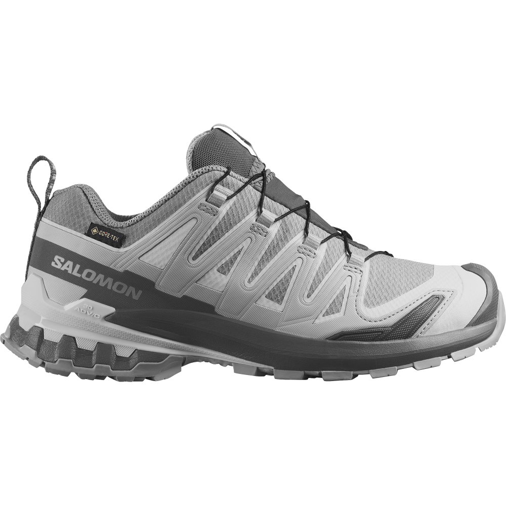 Salomon - XA Pro 3D V9 GORE-TEX® Trailrunningschuhe Damen alloy