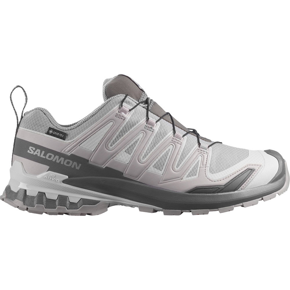 Salomon - XA Pro 3D V9 GORE-TEX® Trailrunningschuhe Herren alloy