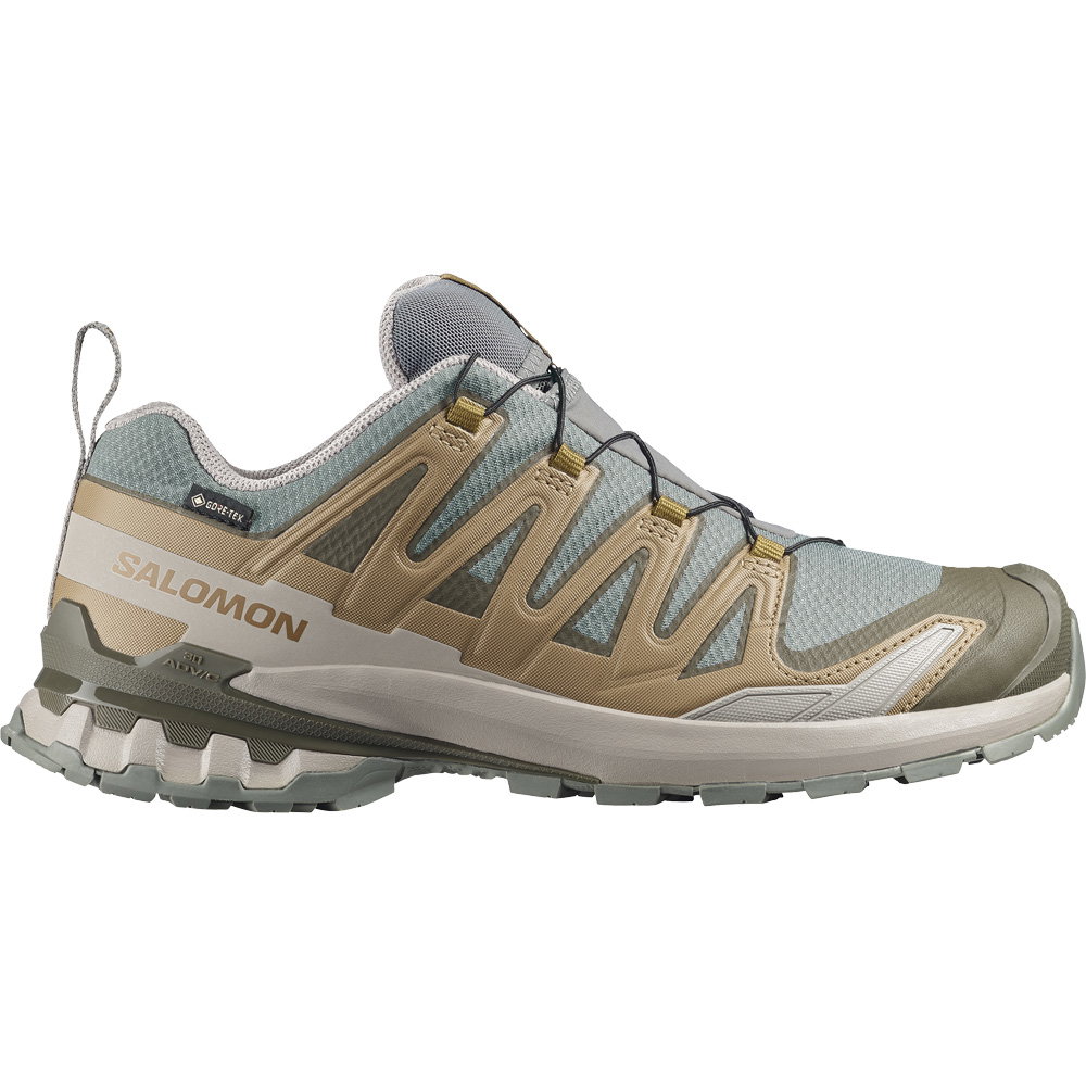 Salomon - XA Pro 3D V9 GORE-TEX® Trailrunningschuhe Herren sedona sage