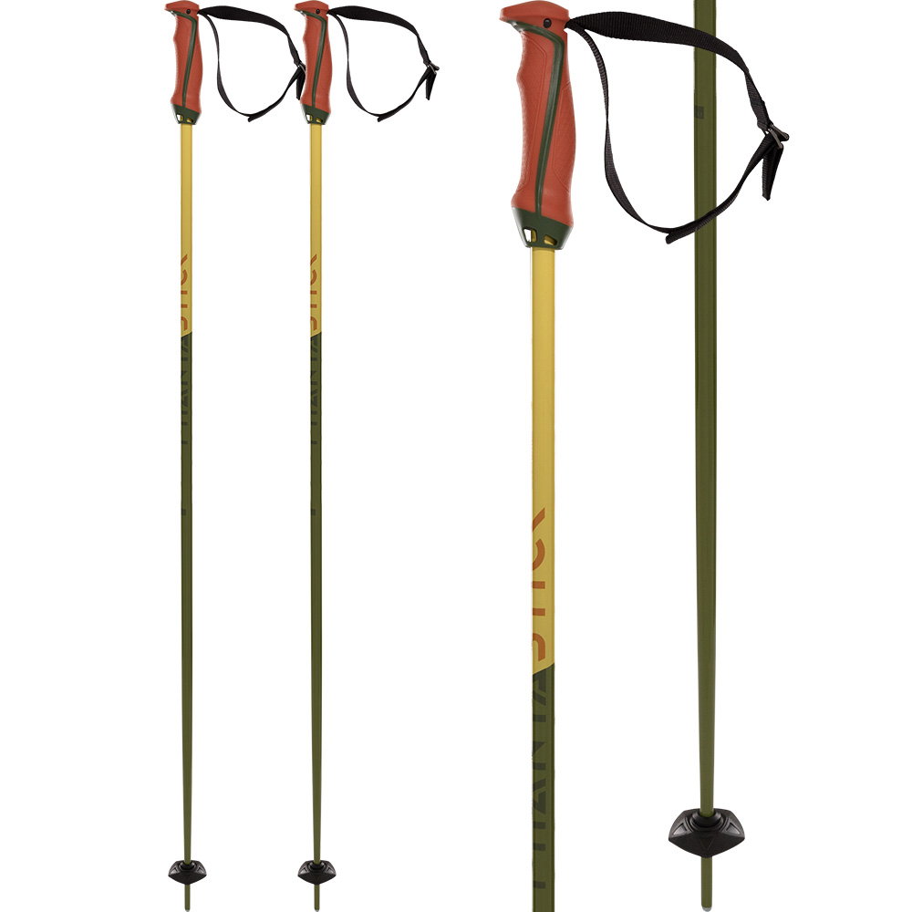 Völkl - Phantastick 16mm Alpin Skistöcke grün